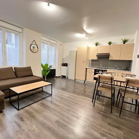 Cosy 0 , Centre Apartment Mulhouse
